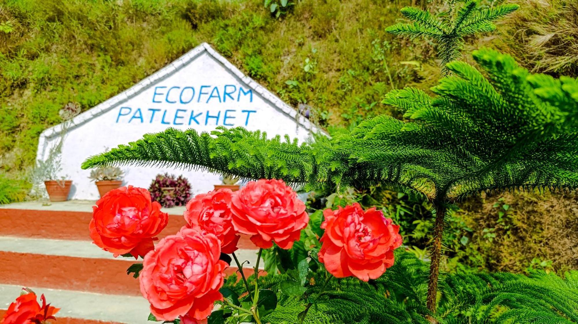 Patlekhet Eco Farmhouse Dulikhel Buitenkant foto